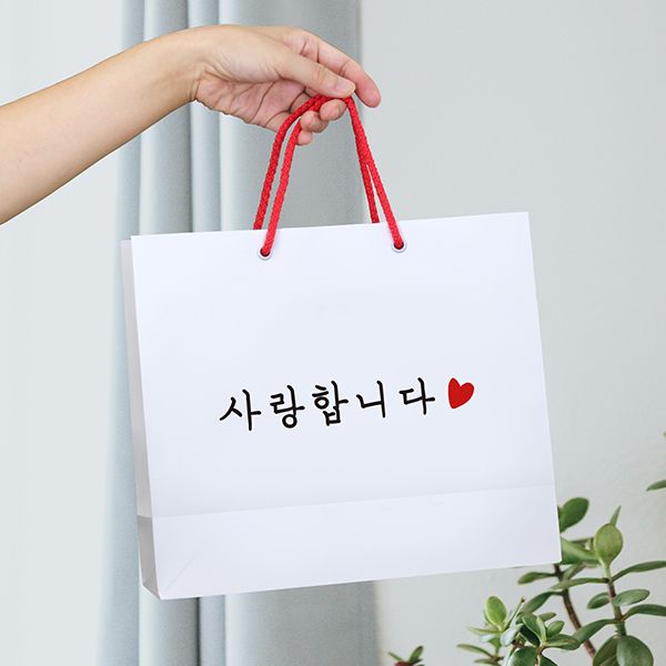 엄마아빠 선물 쇼핑백 M