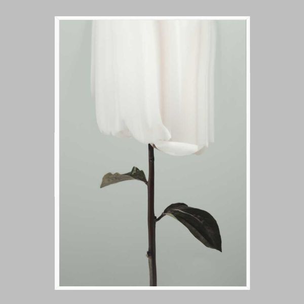 꽃 인테리어액자 flower No3 A2사이즈(WFFW072)