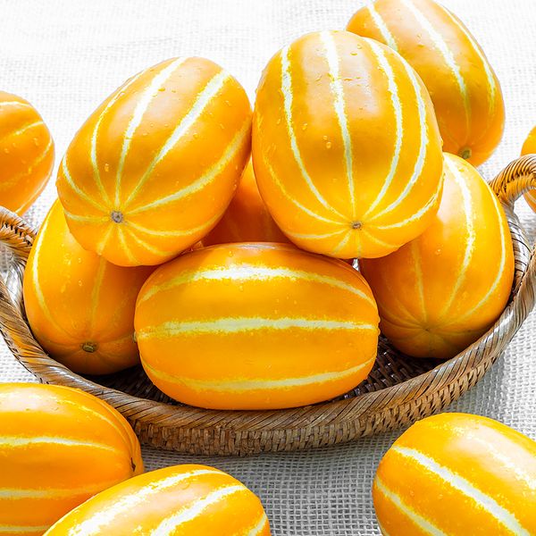 [자연예서] 성주 참외 10kg (21-25과)특대