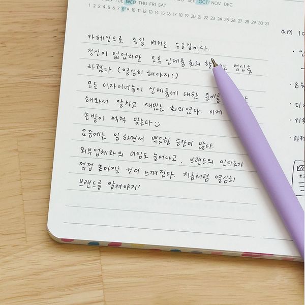 뜨루더시즌 3개월 데일리 다이어리