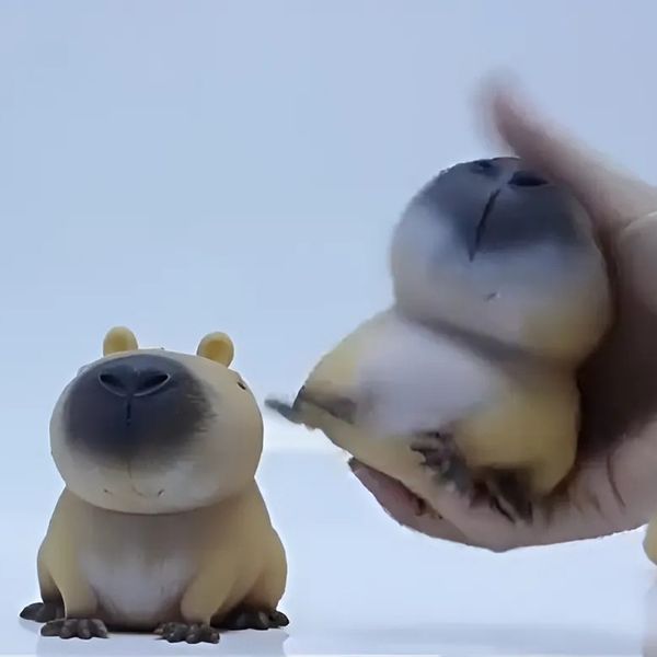 못생긴 왕 카피바라 말랑이 만득이 스퀴시 심신안정