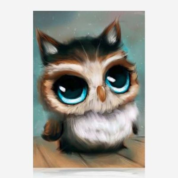 왕눈이 부엉이 DIY 보석십자수 십자수 비즈세트