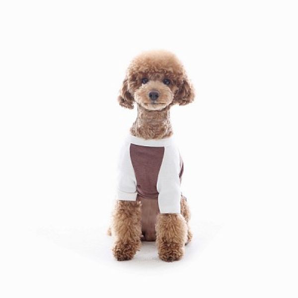 MP Raglan T(BROWN)