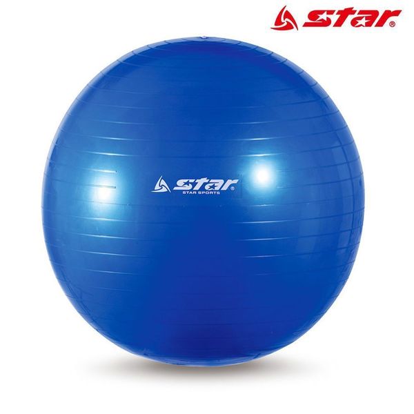 스타스포츠 짐볼 55cm (블루) (EB240-07)(WFGUJKK)