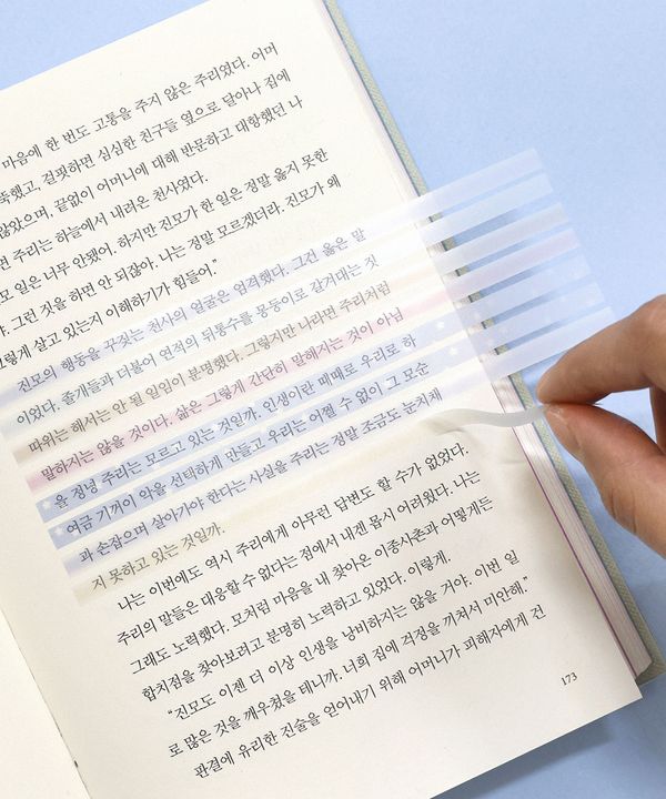 비온뒤 롱 인덱스 하이라이터 
