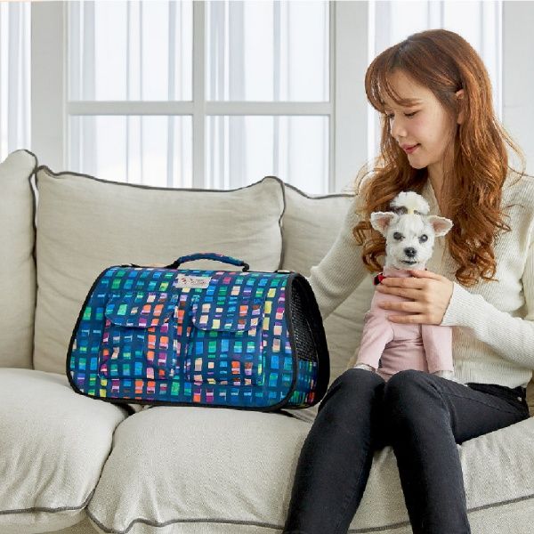 반려동물 강아지 고양이 이동식 가방 Picasso