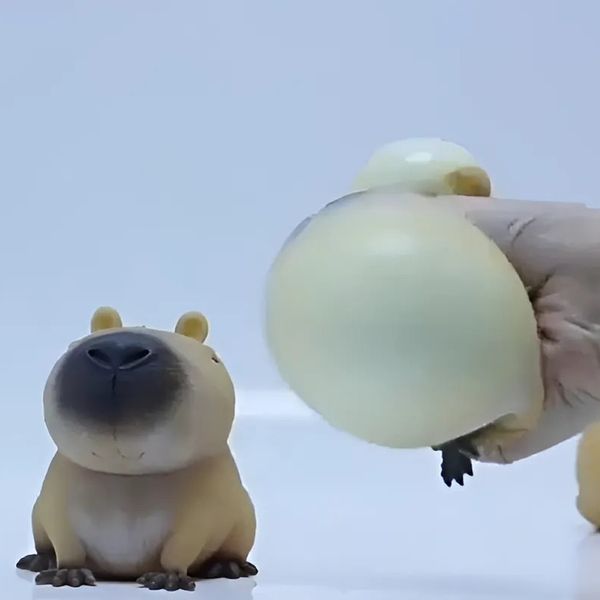 못생긴 왕 카피바라 말랑이 만득이 스퀴시 심신안정