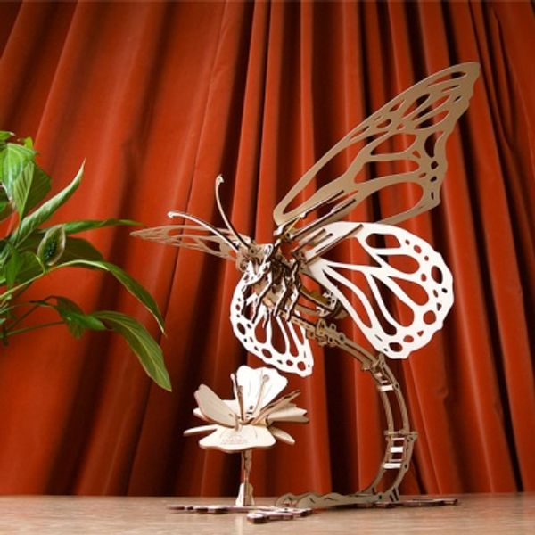 나비(Butterfly)