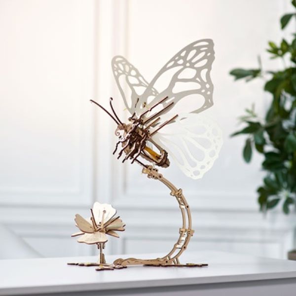 나비(Butterfly)