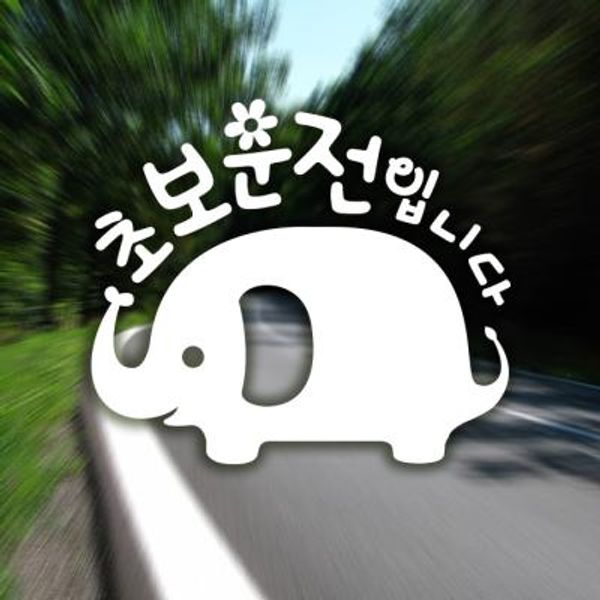 18D27 코끼리초보운전 화이트