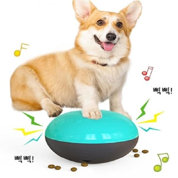 지능향상 호빵 삑삑이 간식놀이 (블루)(WCF407E)