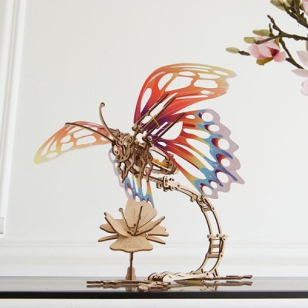나비(Butterfly)