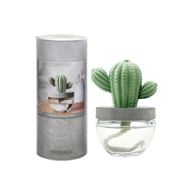 아로마코 선인장 디퓨저(100ml)/향 선택