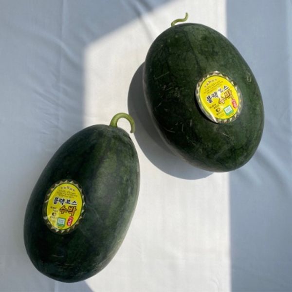 고창 블랙망고수박 미니 노란 수박 6kg 2수