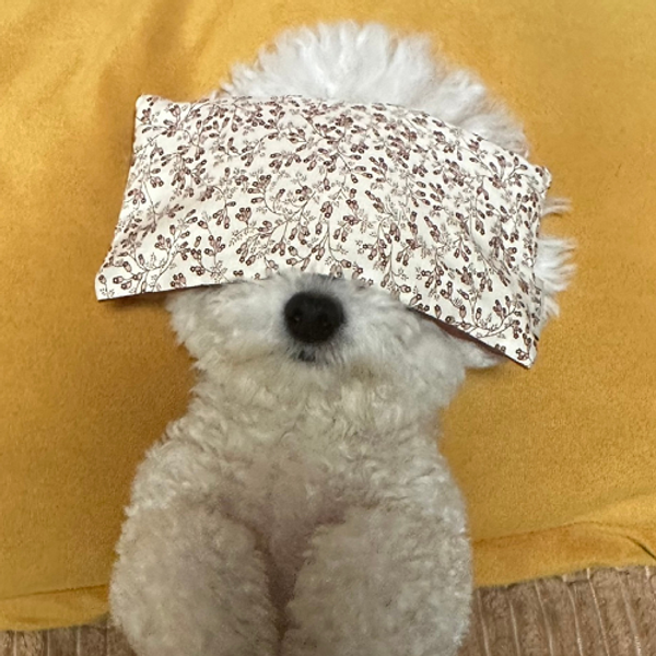 따스로미 시그니처 브라운 현미 눈 코 찜질팩