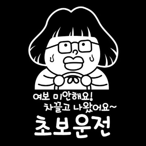 자동차스티커_여보 미안해요 차끌고 나왔어요 초보운전