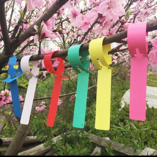 식물 수목 이름표 라벨 묘목 과수원 이름표