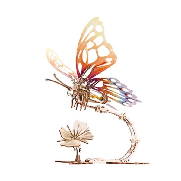나비(Butterfly)