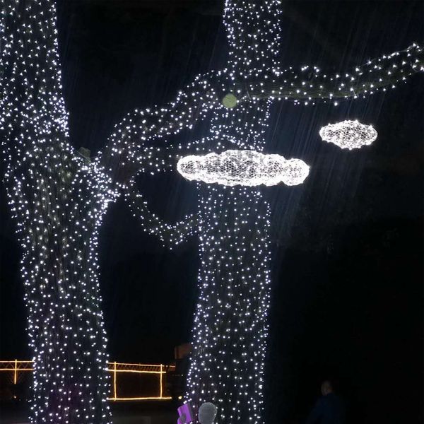[도토로] 50구 녹색선 LED 백색 전구(5M) (전원잭포함