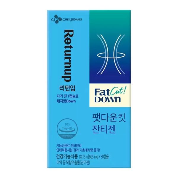 CJ리턴업팻다운컷잔티젠605mg x 30캡슐x 3