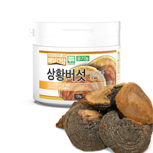매일건강 유기농 상황버섯 100% 분말 120g (스푼포함)