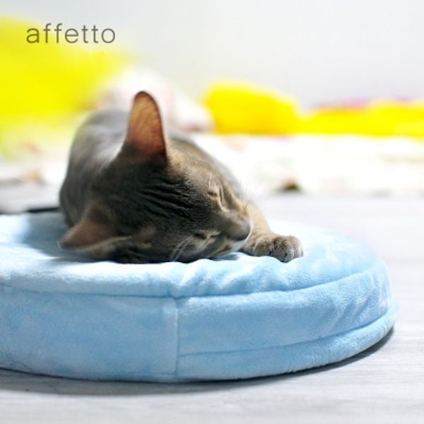 아페토 쿨추가쿠션 (EF블루 / EF그레이) M