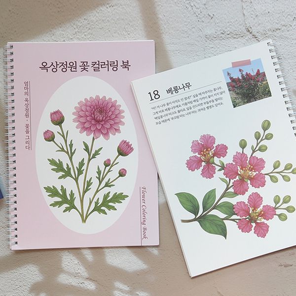 어른 시니어 색칠 공부 꽃 컬러링북 취미 미술 드로잉