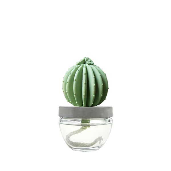 아로마코 선인장 디퓨저(100ml)/향 선택