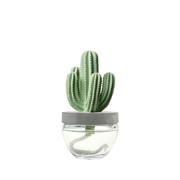 아로마코 선인장 디퓨저(100ml)/향 선택