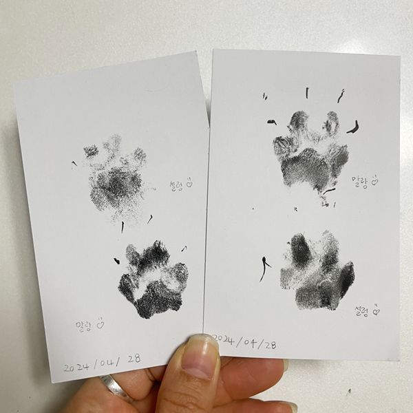 강아지 발도장 추억 액자 키트 반려견 기념 스탬프
