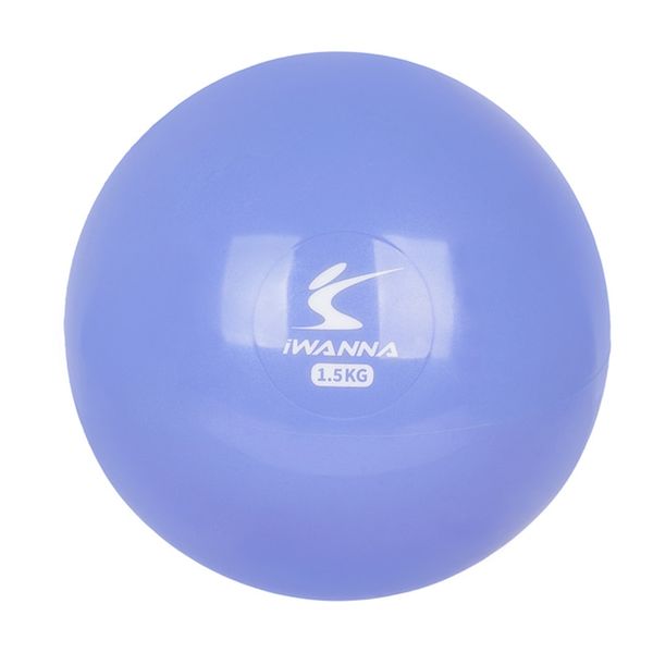 아이워너 릴렉스 웨이트볼 메디슨볼 홈트레이닝 1.5kg