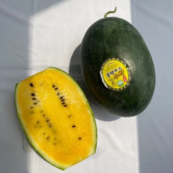 고창 블랙망고수박 미니 노란 수박 6kg 2수