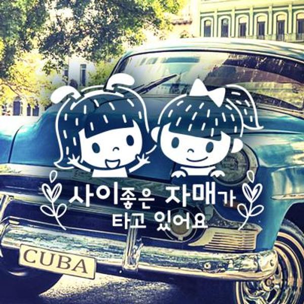 18A132 사이좋은자매세라베비월계수02 반사