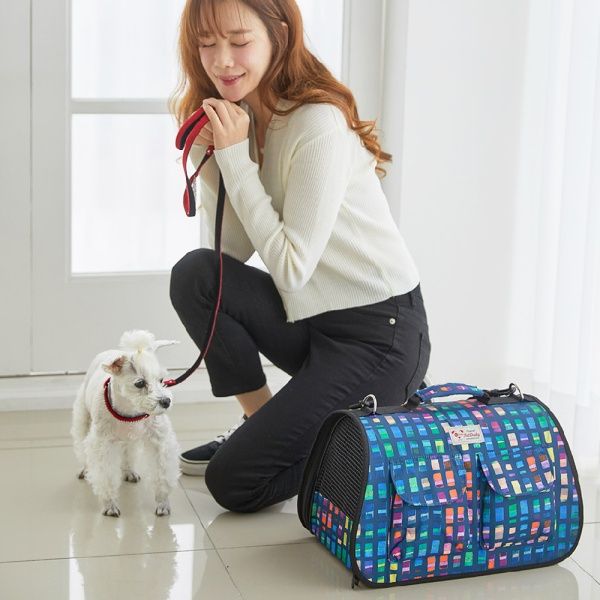 반려동물 강아지 고양이 이동식 가방 Picasso