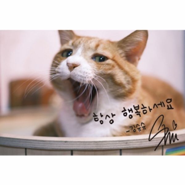 행복하세요 슈슈 엽서