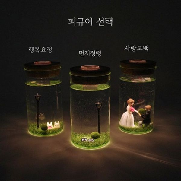 [어버이날]마리모 무드등♥감사문구♥