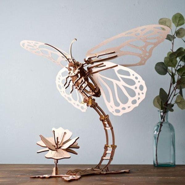 나비(Butterfly)