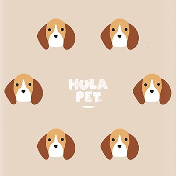 HULA PET PATTERN CASE (Beagle) / 아이폰 케이스