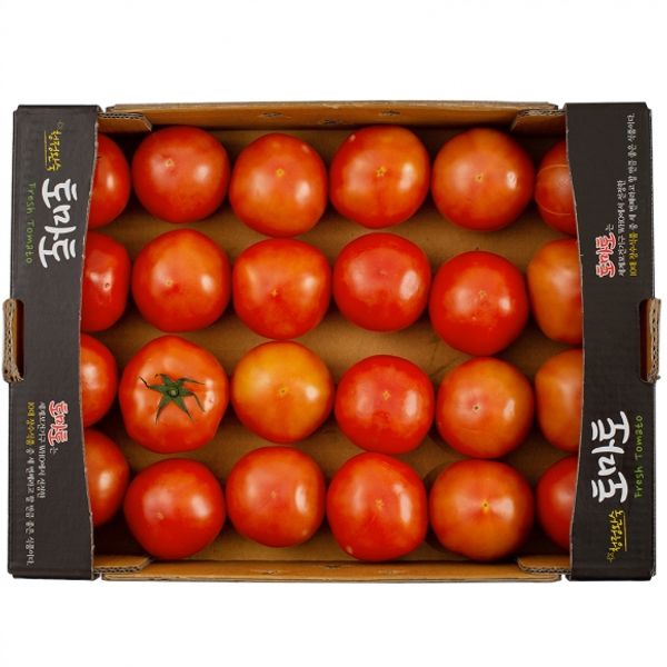 [자연예서] 완숙 토마토 5kg (2번)