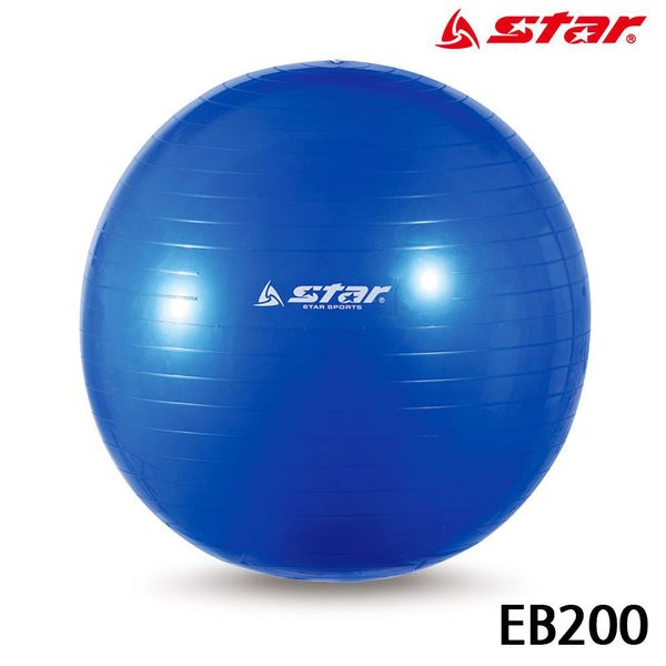 EB200 짐볼 마사지짐볼 파랑 짐볼 헬스(WFJ7TS3)