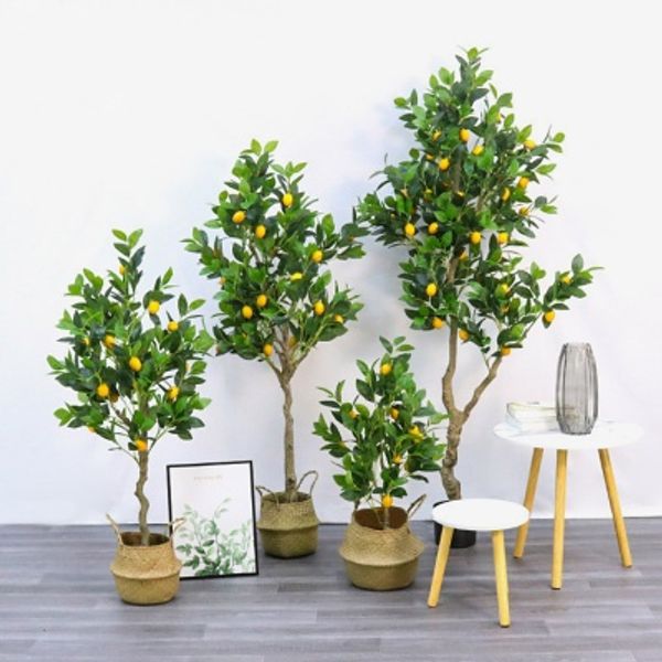 레몬나무 조화(150cm)