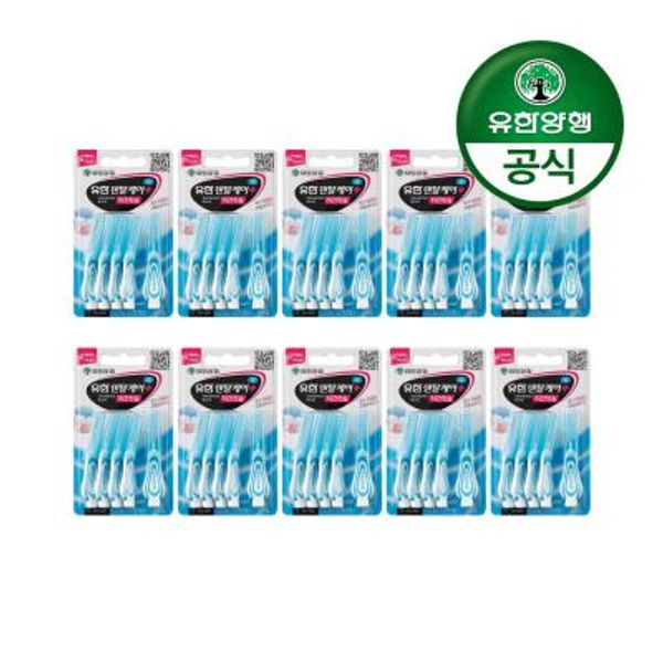 덴탈케어 플러스 치간칫솔 5입 10개