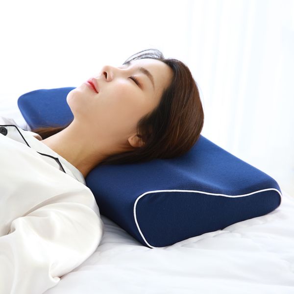 나코자요 휴야 디럭스 메모리폼 경추 베개
