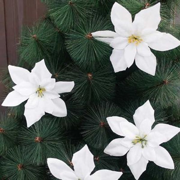 포인꽃 12cm 화이트