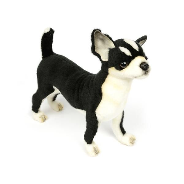 6367 치와와 동물인형(Black)/27cm.L