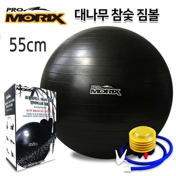 대나무 55Cm 짐볼 참숯 안티버스트(WFJQRLF)