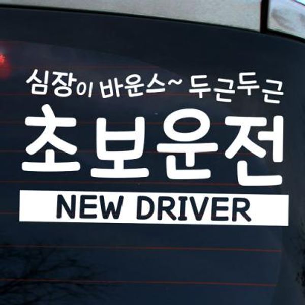 심장이 바운스 초보운전