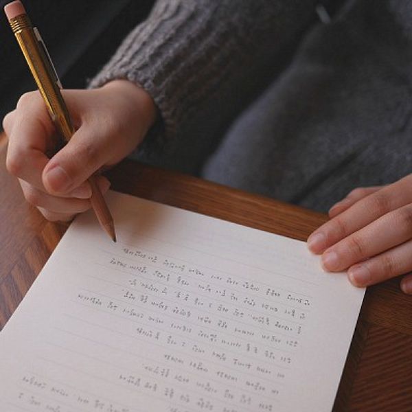 MD Letter Pad or MD Envelope (택1)