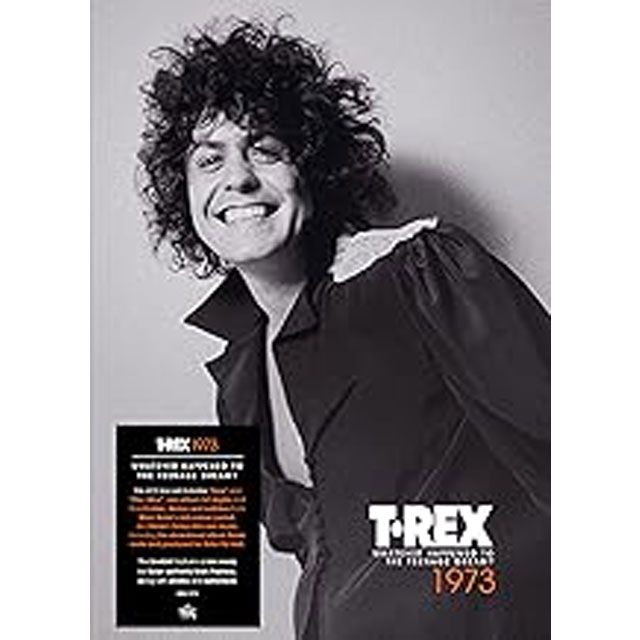 1973: WHATEVER HAPPENED TO THE TEENAGE DREAM?