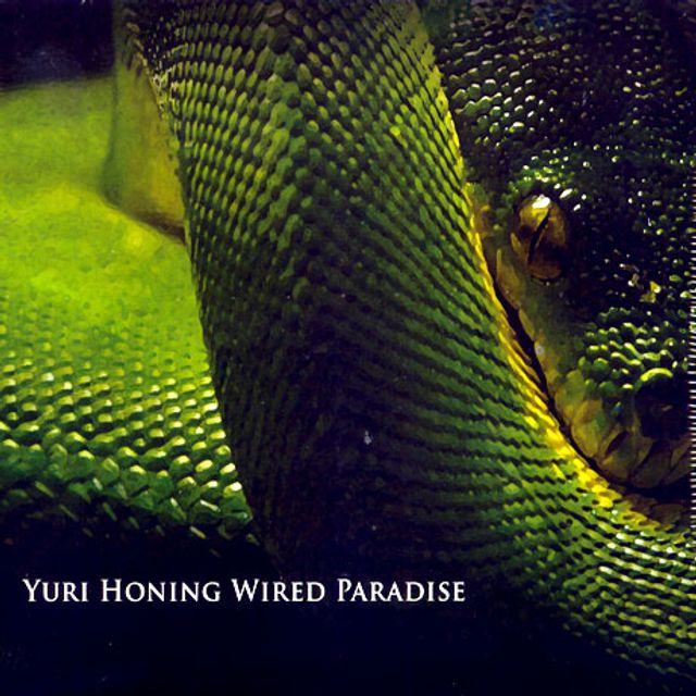 WIRED PARADISE